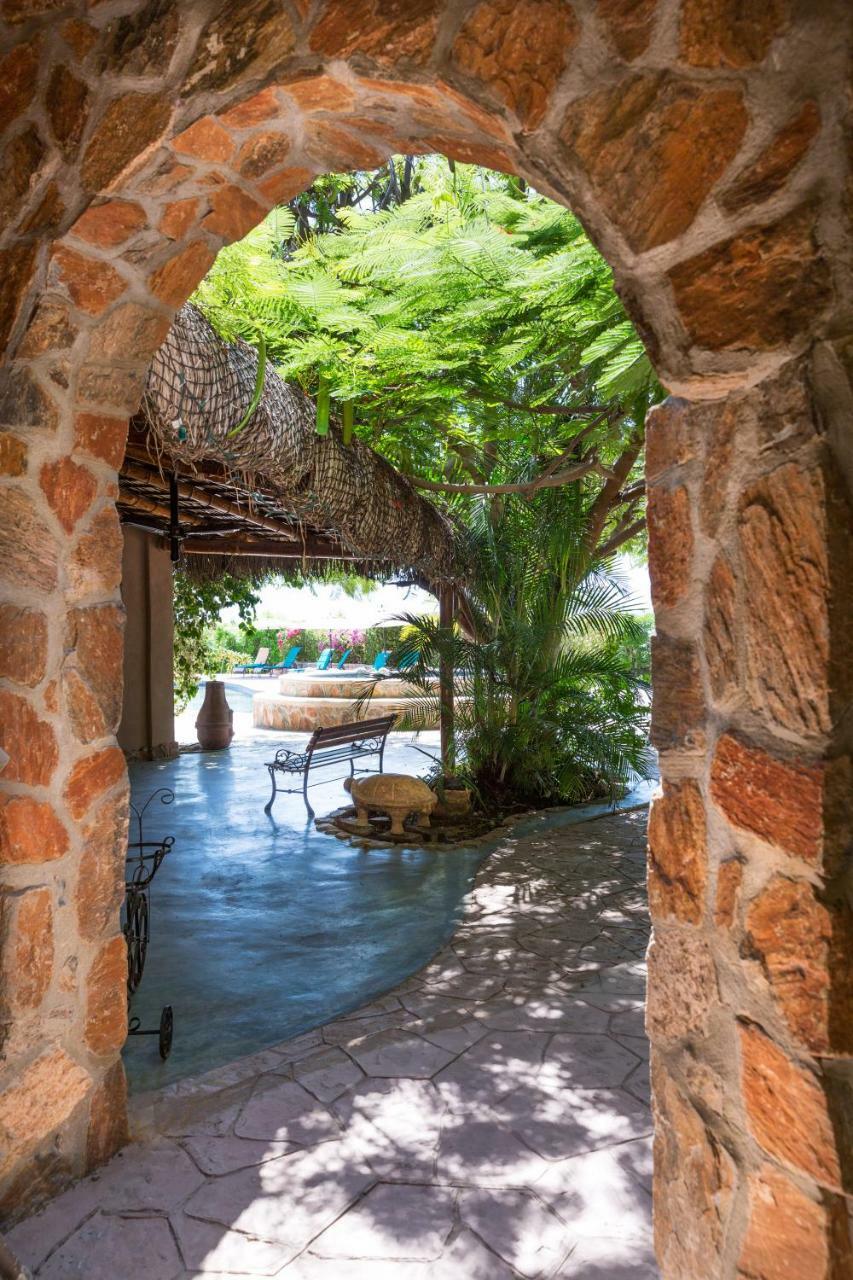 Serendipity Todos Santos Exteriér fotografie